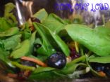 Blueberry Spinach Salad with raspberry vinaigrette (by cookoutloud.com)