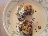 Protein Oatmeal Cookie