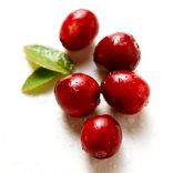 Cranberry Cleanser