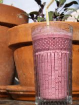 Blueberry Cranberry Smoothie