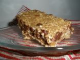 Nutty Honey Protein Bars 