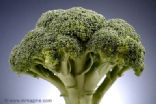 Raw Broccoli Tarts