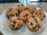 Vegan Simple Melty Chocolate Chip Muffins