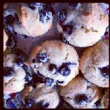 Blueberry Muffins