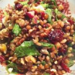 Lentil & Rice Salad w/ Spinach, Feta & Dried Cranberries