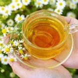 Chamomile Tea