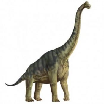 tallest dinosaur in feet