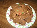 Cocoa-y monsterish cookies