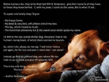 prayer owner dog lost last mourn comfort those saturday april