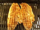 Blackened Walleye Grilled