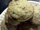 Oatmeal,chocolate chip, cran apple muffins 125 calories each