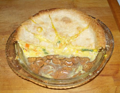 Low Fat Turkey Pot Pie 119