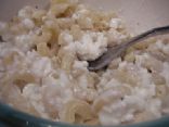 Monica's Noodles, Onions & Cottage Cheese