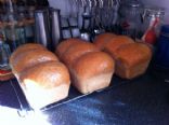 Carlie's fav home made bread white/whole wheat