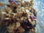 Oatmeal Craisin in Love with Protein