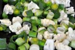Mashed Cauliflower with Leks and Garlic