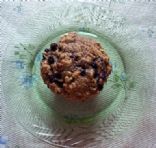 Blueberry Oat Muffins (wheat free)